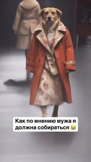 как я должна собиратся