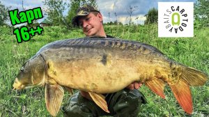 Поймали огромного Карпа 16+ ! Рыбалка на Диком Водоеме.
