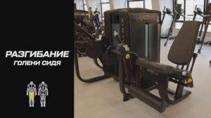 Блочный тренажёр на сгибание голени сидя: что это такое и как пользоваться оборудованием?