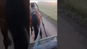 Сердце сжалось в груди…Душевная песня🙏🙁