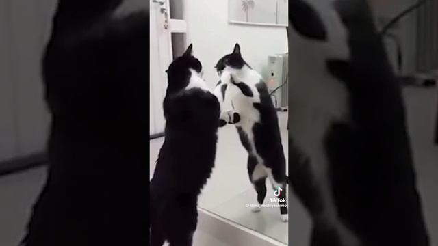 что ты такое (смотреть до конца)