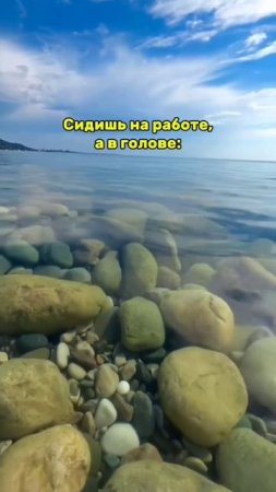 Лайк, если хочешь на море, а не на работе сидеть 🏖️ #shorts #крым