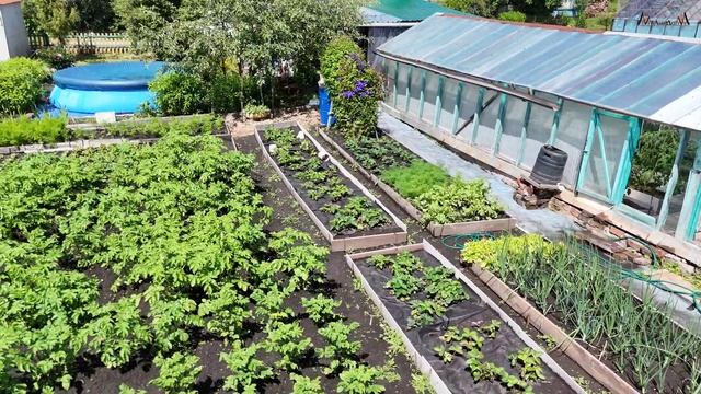 Продается чудесный садовый участок в саду Виктория города Верхний Уфалей смотреть онлайн