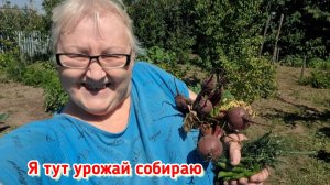 Я и сейчас могу за раз ухомякать, но я не беременная.