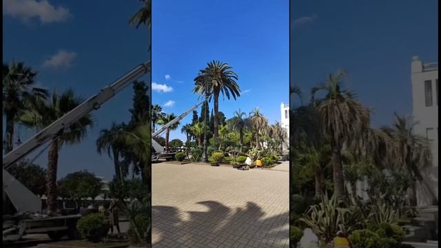 Набережная Сухума