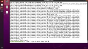 005 Combining Find and Chmod Commands Together