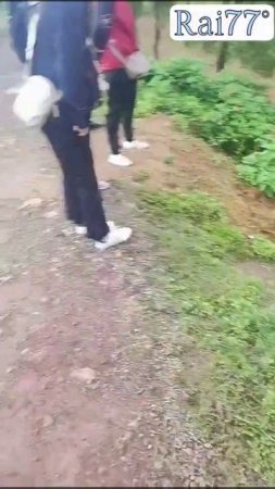 Легковой автомобиль завис в «неестественной позе» над рекой