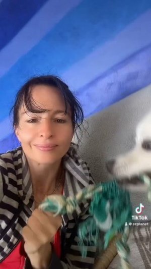 Рычащий Собакен @Scotty 🎵   @andrejvolanickij #growlingdog #dogplaying #doglife🐶 #filmmakerl