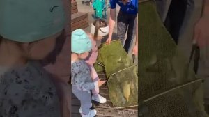 Ездили на рыбалку, хорошо у воды… и детки поиграли, сменили обстановку) #корпоратив