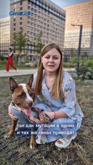 Генетические базы данных