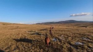 Вне времени. Страшные. Мистические. Творческие истории.