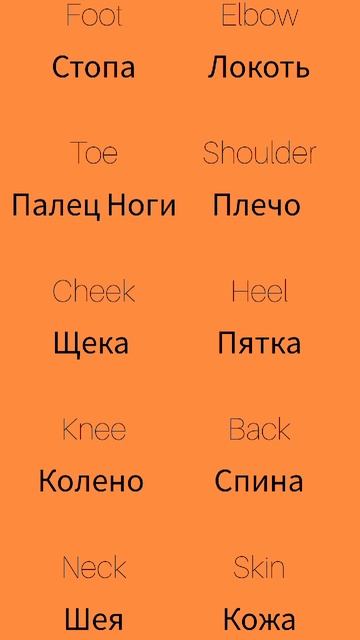 Части тела 2 Body parts 2
