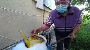 Быстро и эффективно избавляемся от вредителей