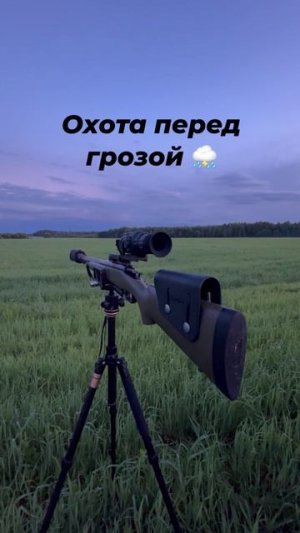 #охота #гроза #ночная охота