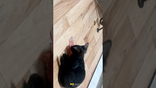Нормально