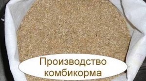 Производство комбикорма. Бизнес идея