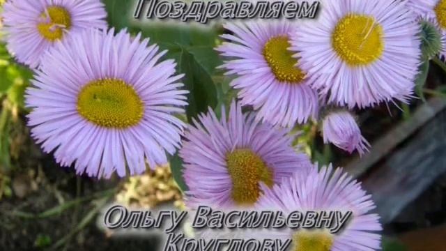 2009 11 18 Николаевск-на-Амуре =Вечерний Николаевск= (480p_25fps_H264-128kbit_AAC)