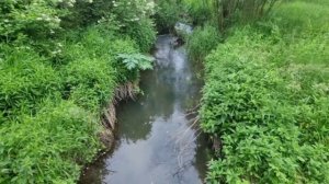 Новые места для прогулок в Перми ч.1
