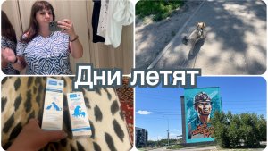 В отпуске дни летят незаметно. Очень жарко. С собакой к ветеринару.
