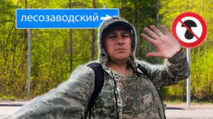 Тихая охота в пос.Лесозаводский