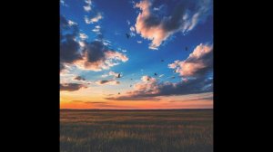 Sunbyonic - Mass Hypnosis