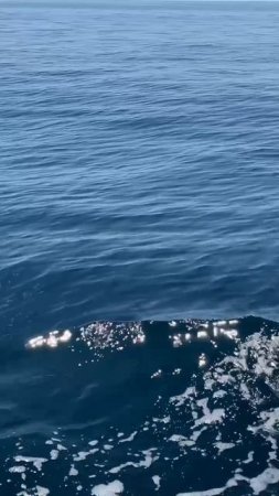 Море в Крыму- это прекрасно посмотрите сами