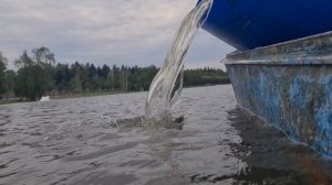 Запуск осетра