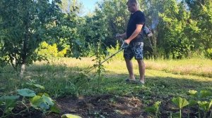 МОЙ ПЕРВЫЙ УРОЖАЙ/ ЗАПУСТИЛИ ВСЕ