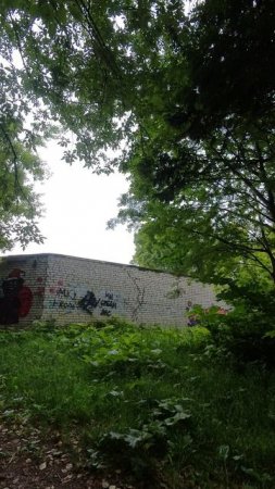 Прогулка. I'll find a way out soon