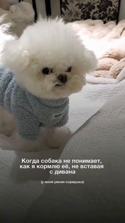 С умным домом происходит магия вне Хогвартса