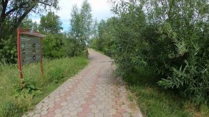 пешком по омску  и птичья гавань