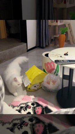 Ой б**!