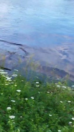 Подъем воды на Невке