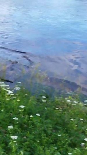 Подъем воды на Невке