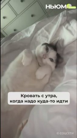 До субботы осталось меньше двух дней. Бодримся!