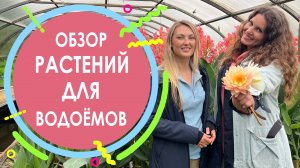 Обзор растений для водоёмов
