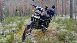 Альфа пегас