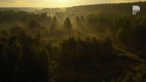 Добро Божье погружающая музыка для молитвы и преданности 🎶🙏  [Музыка без рекламы]