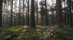 Ваш дом расскажет - Какая будет ваша жизнь.