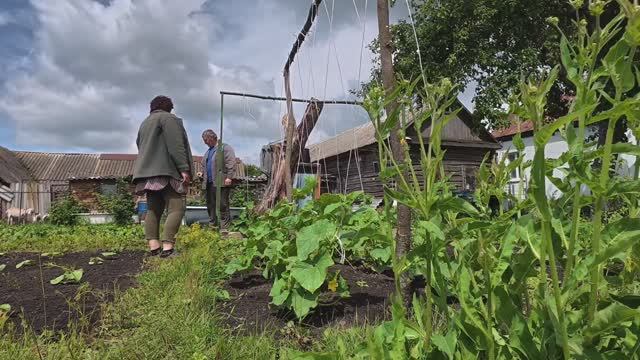 ЖИЗНЬ простых людей в ДЕРЕВНЕ. Первый урожай, хроника дня смотреть онлайн