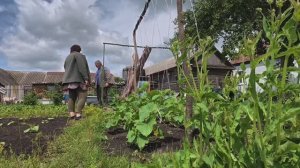 ЖИЗНЬ простых людей в ДЕРЕВНЕ. Первый урожай, хроника дня