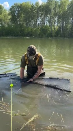 Поймали очень много Карпов ! #carptoday #carpfishing #fishing #carpshop #carptodaybaits #рыбалка