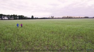 Просто включи -  это видео говорит голосом планеты - A Sense of Purpose -- Nihilore -- Best of 2020-