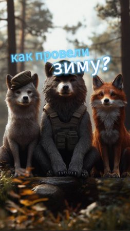 #юмор Медведь лиса и волк