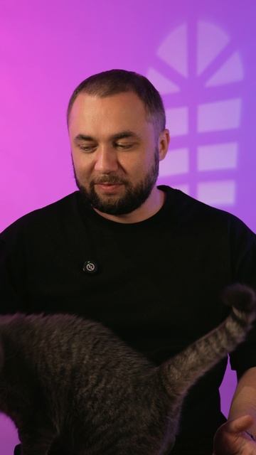 Котик вошел в чат смотреть онлайн