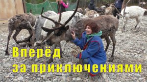 ВПЕРЕД ЗА ПРИКЛЮЧЕНИЯМИ В СААМСКУЮ ДЕРЕВНЮ САМЬ СЫЙТ /24 июня 2025