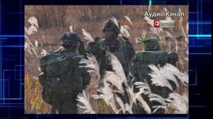 Иностранные государства открестились от наемников, погибших на Украине