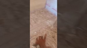 подпишись, братан продолжает внутреннюю отделку каркасного дома