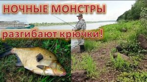 Ночные монстры разгибают крючки! Ночная рыбалка на Леща.