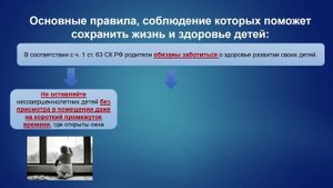 Профилактика несчастных случаев выпадения из окон!!!!